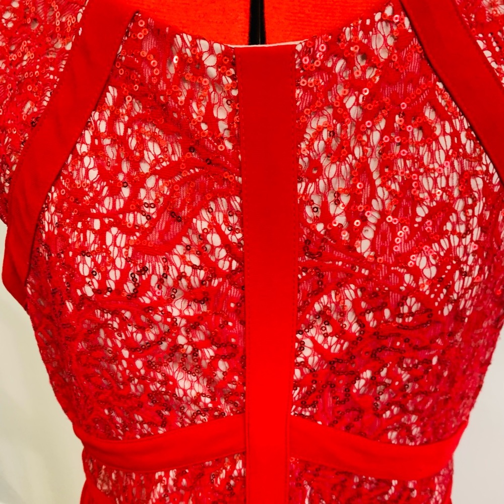 Beautiful Holiday Dress